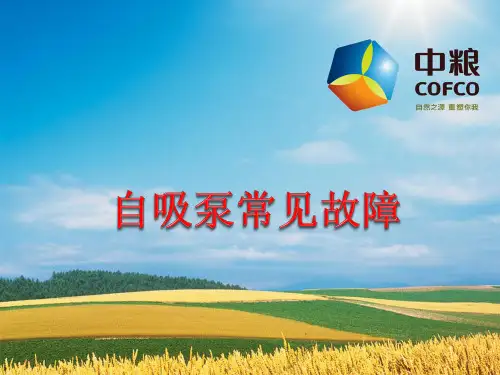 自吸泵常见故障