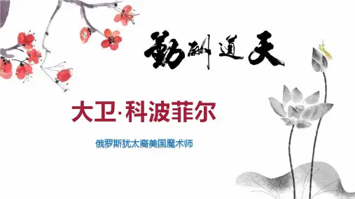 大卫科波菲尔
