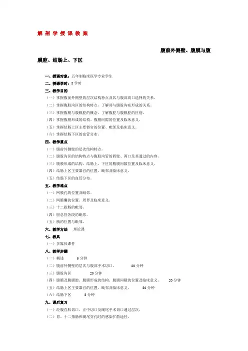 腹前外侧壁、腹膜与腹膜腔、结肠上、下区