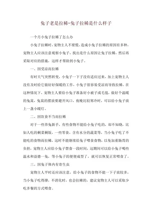 兔子老是拉稀-兔子拉稀是什么样子