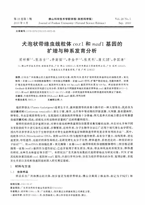 犬泡状带绦虫线粒体cox1和nad1基因的扩增与种系发育分析