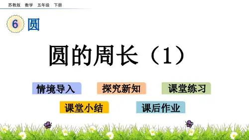 苏教版数学五年级下册第六单元《圆》6.4 圆的周长(1)ppt课件