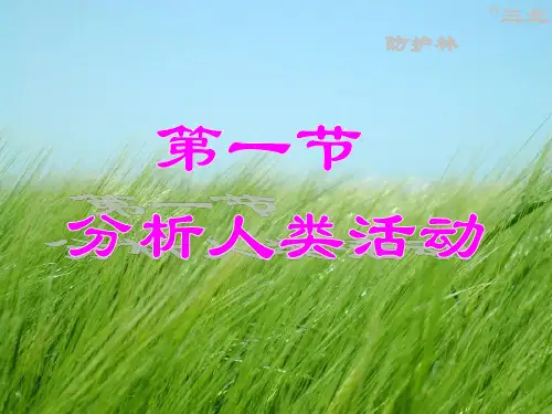 分析人类活动破坏生态环境的事例幻灯片PPT
