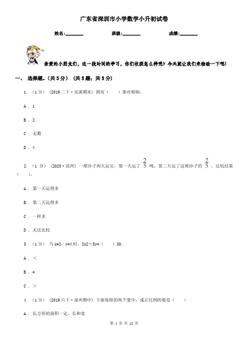 广东省深圳市小学数学小升初试卷