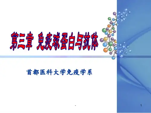 第三章-免疫球蛋白与抗体PPT课件