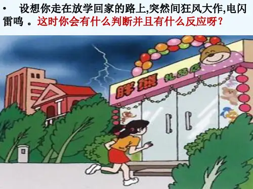 生物人教版七年级下册眼球的结构和视觉的形成