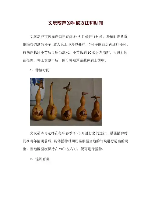 文玩葫芦的种植方法和时间