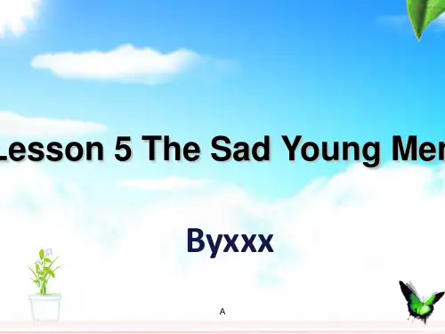 The Sad Young Men课件 高级英语