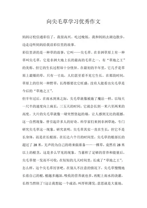 五年级话题向尖毛草学习优秀作文