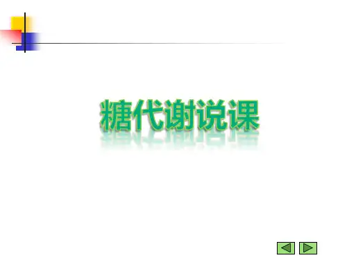 糖代谢说课健康学院