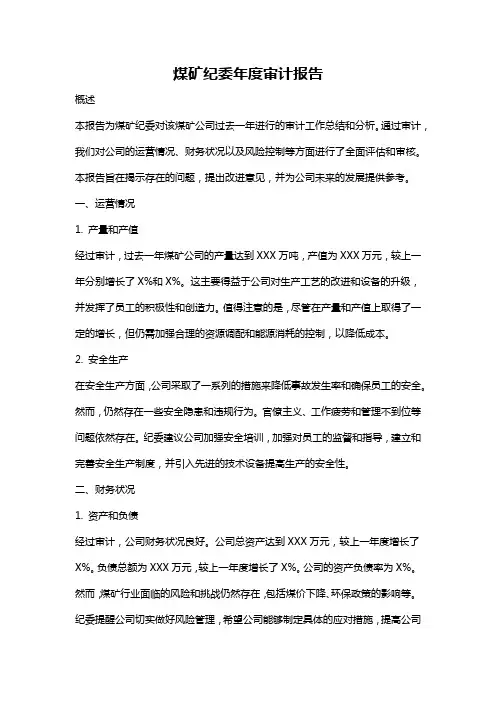 煤矿纪委年度审计报告