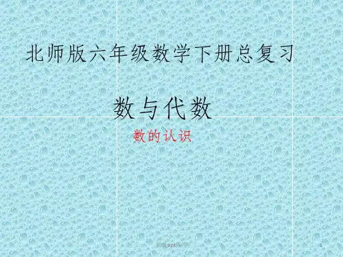 北师版六年级数学总复习-数的认识1ppt课件