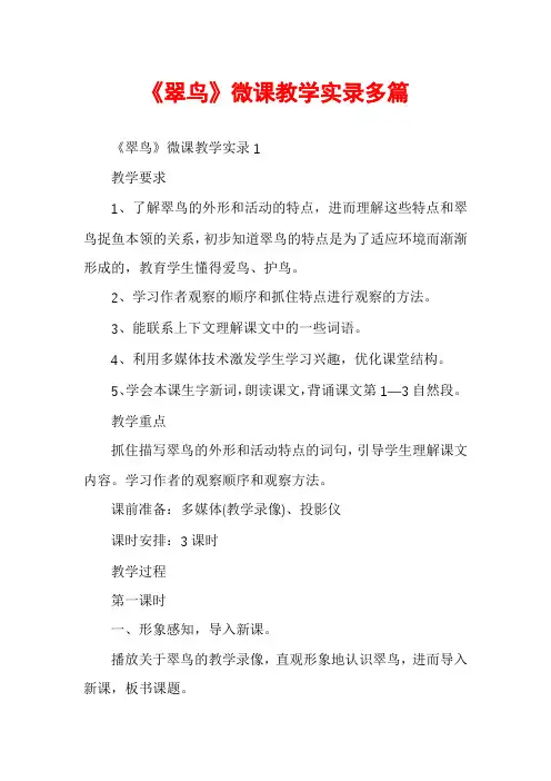 《翠鸟》微课教学实录多篇