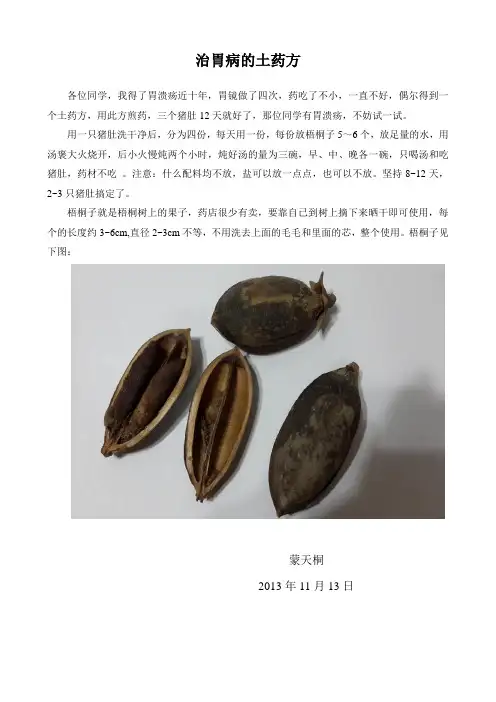 治胃病的土药方