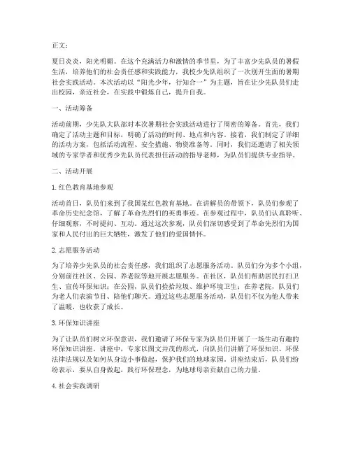 少先队暑期社会实践活动