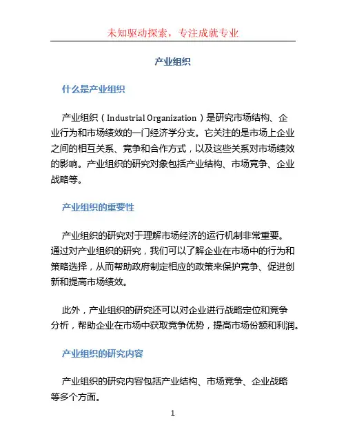 产业组织文档