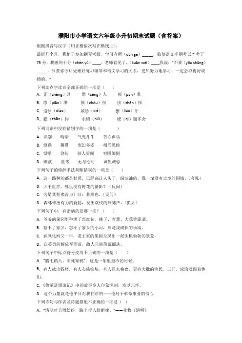 濮阳市小学语文六年级小升初期末试题(含答案)