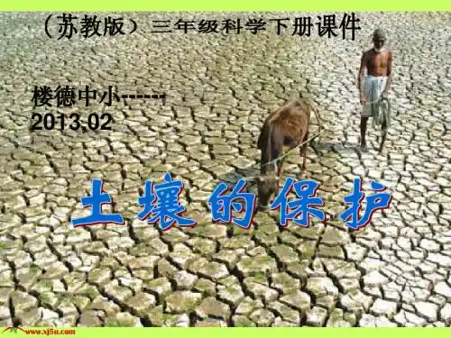 苏教版小学科学三年级下册《土壤的保护》课件----楼德中小
