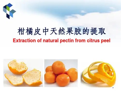 柑橘皮中天然果胶的提取PPT课件
