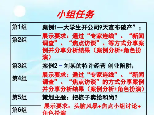 创业案例分析案例分析.ppt
