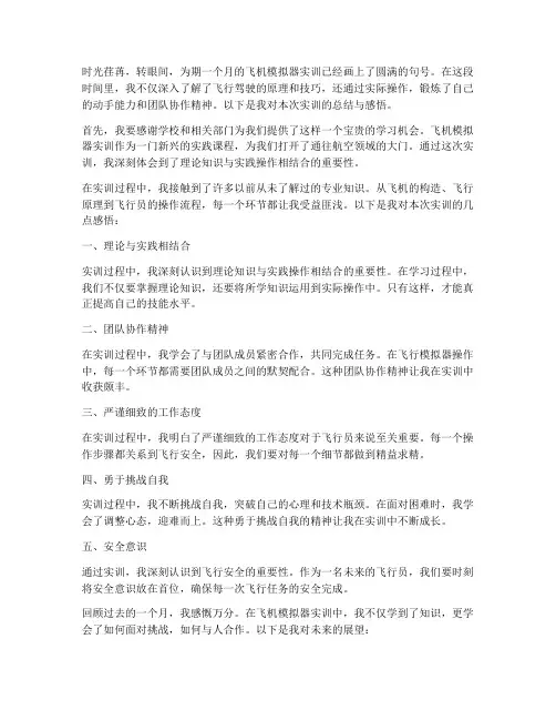 飞机模拟器实训报告结尾