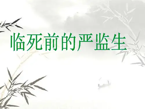 临死前的严监生模板