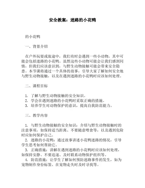 安全教案：迷路的小花鸭