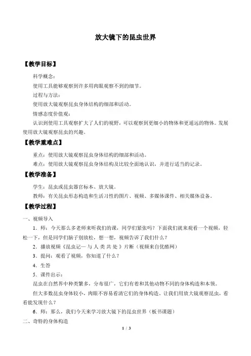 教科版小学六年级科学下册教案放大镜下的昆虫世界_教案2