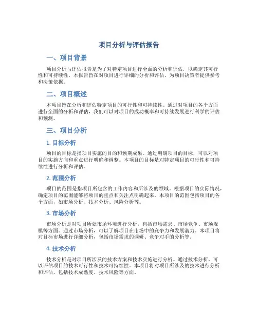 项目分析与评估报告