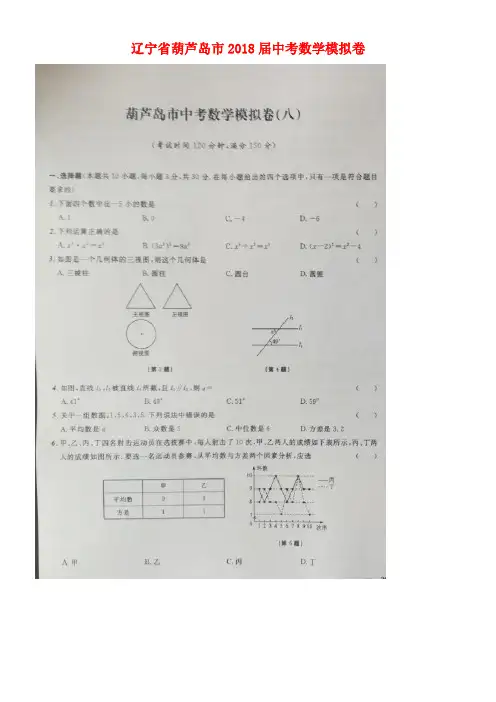 辽宁省葫芦岛市2018届中考数学模拟卷(八)(扫描版)