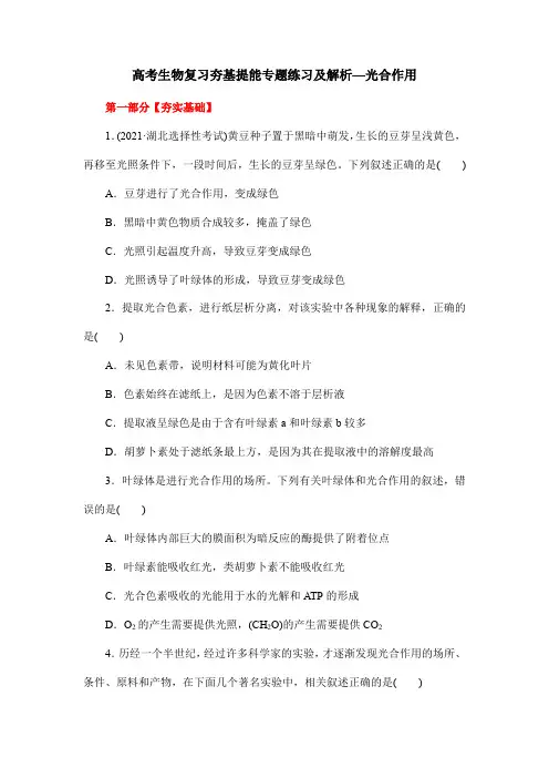 高考生物复习夯基提能专题练习及解析—光合作用