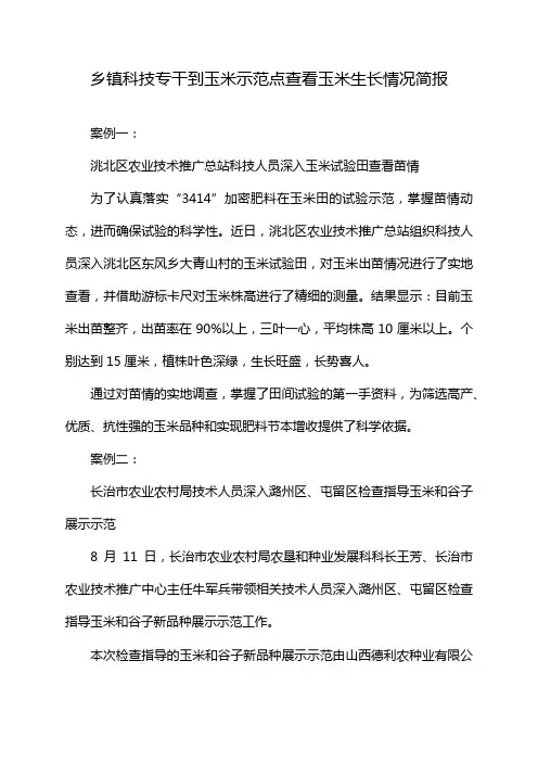 乡镇科技专干到玉米示范点查看玉米生长情况简报