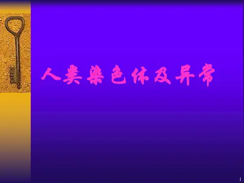 人类染色体及异常PPT课件