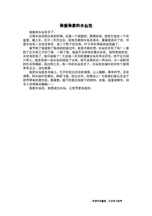 我爱我家的水仙花_六年级日记