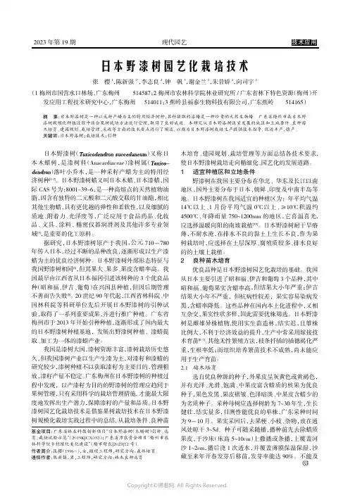日本野漆树园艺化栽培技术