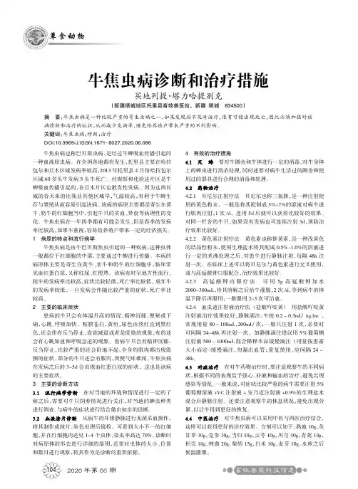 牛焦虫病诊断和治疗措施
