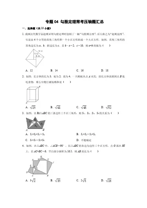 2023-2024学年八年级数学下册 专题04 勾股定理常考压轴题汇总(原卷版)