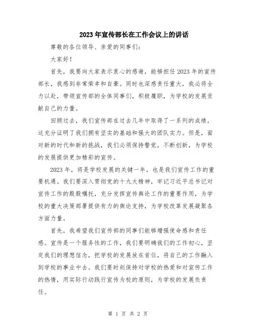 2023年宣传部长在工作会议上的讲话