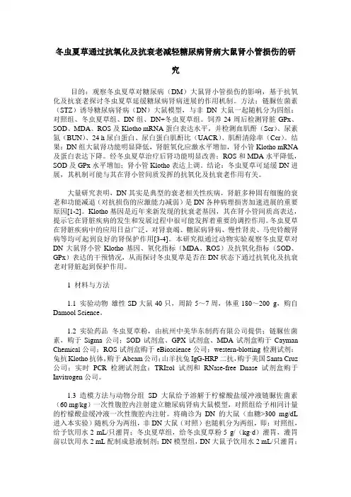 冬虫夏草通过抗氧化及抗衰老减轻糖尿病肾病大鼠肾小管损伤的研究