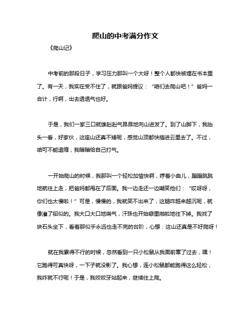 爬山的中考满分作文