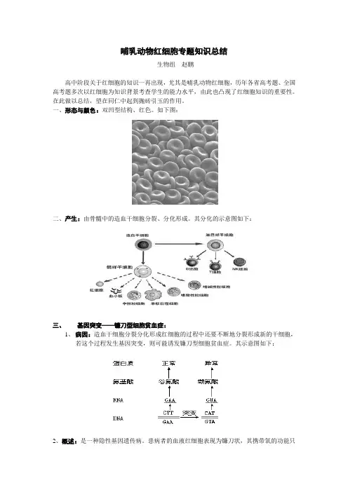 哺乳动物红细胞专题知识总结