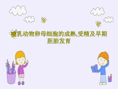 哺乳动物卵母细胞的成熟,受精及早期胚胎发育26页PPT