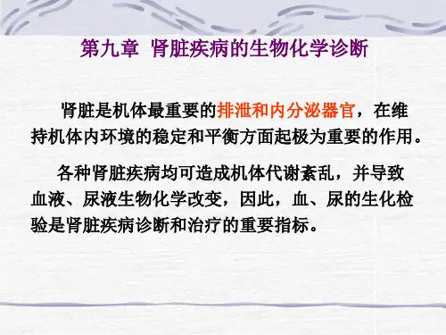 肾脏疾病的生物化学诊断20110406
