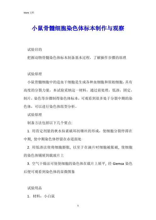 小鼠骨髓细胞染色体标本制作与观察