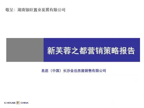 新芙蓉之都营销策略(终稿)