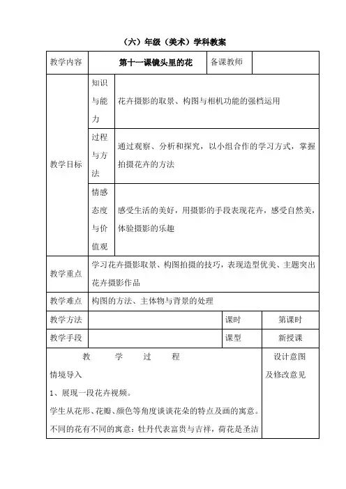 六年级上册美术教案11镜头里的花_人美版