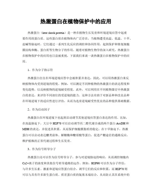 热激蛋白在植物保护中的应用