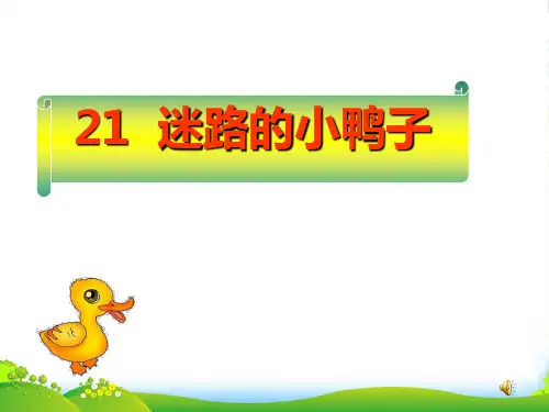 21迷路的小鸭子-课件