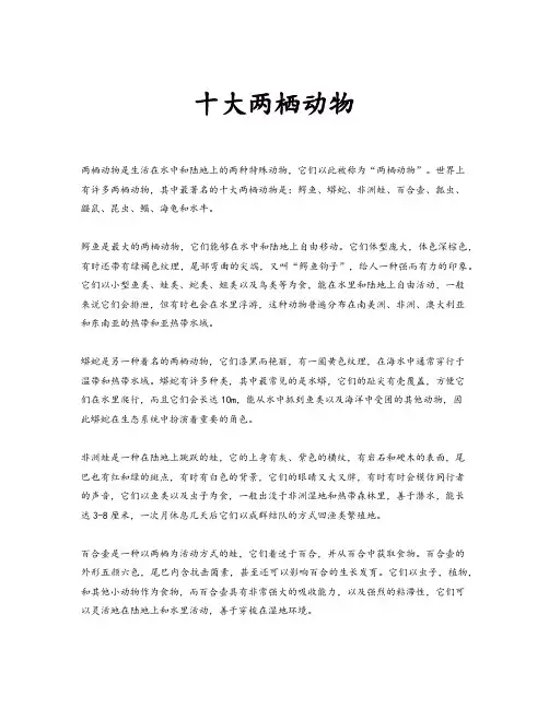 十大两栖动物