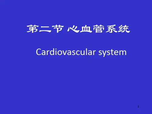 《心血管系统》PPT课件